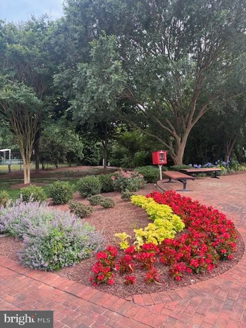 525 Belmont Bay Dr Unit 105, Woodbridge, VA 22191 - view of community