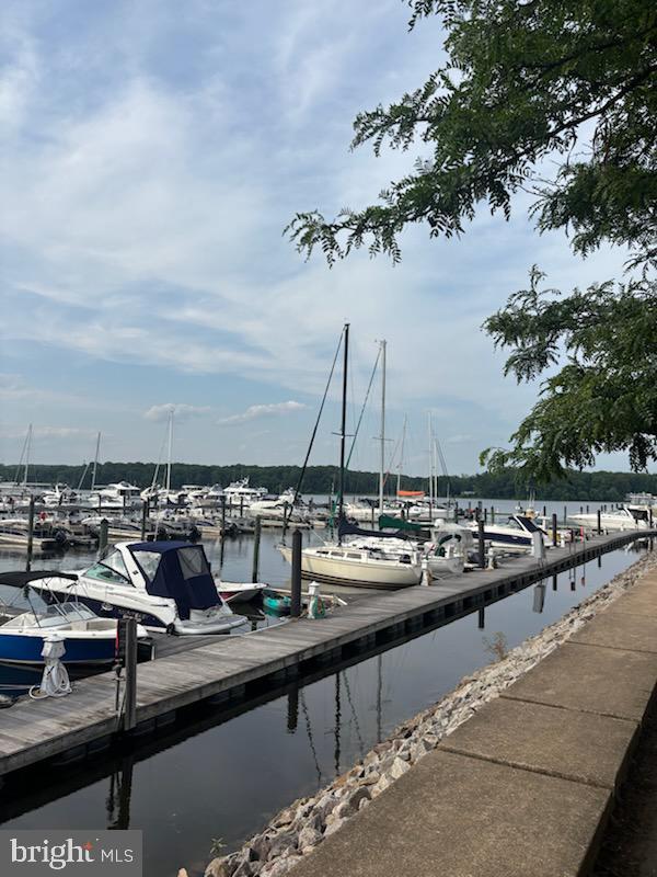 525 Belmont Bay Dr Unit 105, Woodbridge, VA 22191 - dock with a water view and view of marina