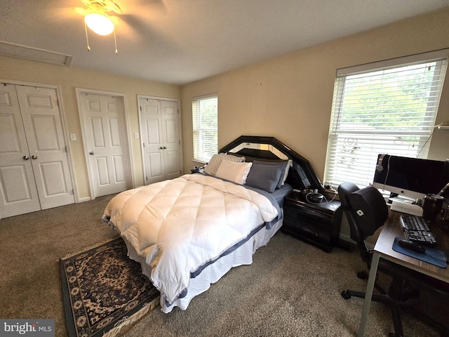 14722 Banks Odee Rd, Newburg, MD 20664 - bedroom with carpet floors, two closets, and an office area