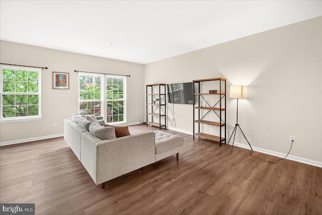 13102 Alpine Dr Unit 2502, Germantown, MD 20874 - living room with wood finished floors and baseboards