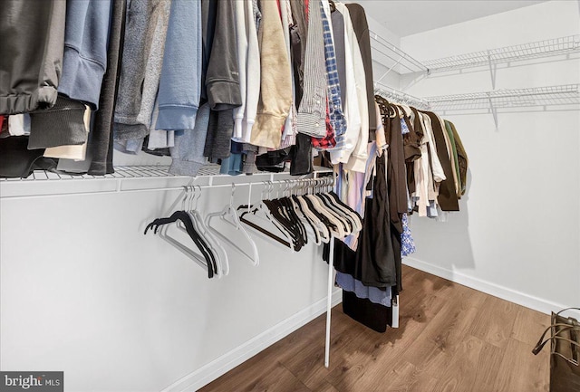 13102 Alpine Dr Unit 2502, Germantown, MD 20874 - spacious closet with wood finished floors