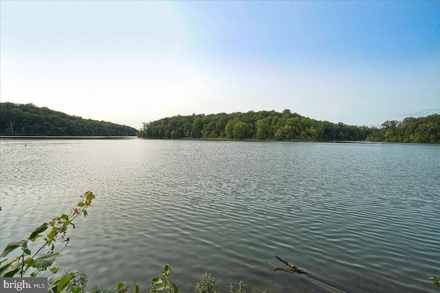 13102 Alpine Dr Unit 2502, Germantown, MD 20874 - water view featuring a forest