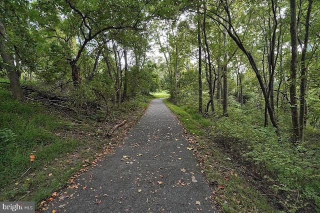 13102 Alpine Dr Unit 2502, Germantown, MD 20874 - view of street featuring a view of trees