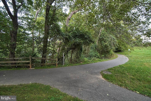 13102 Alpine Dr Unit 2502, Germantown, MD 20874 - view of road