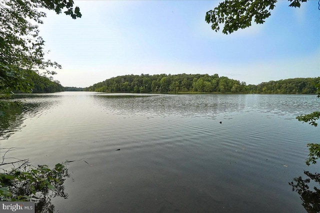13102 Alpine Dr Unit 2502, Germantown, MD 20874 - water view with a forest