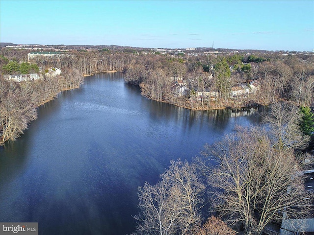 13102 Alpine Dr Unit 2502, Germantown, MD 20874 - aerial view of property's location featuring a large body of water and a heavily wooded area