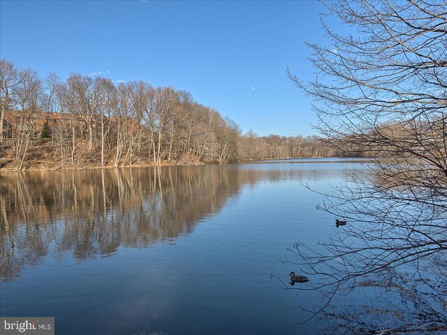 13102 Alpine Dr Unit 2502, Germantown, MD 20874 - water view featuring a forest
