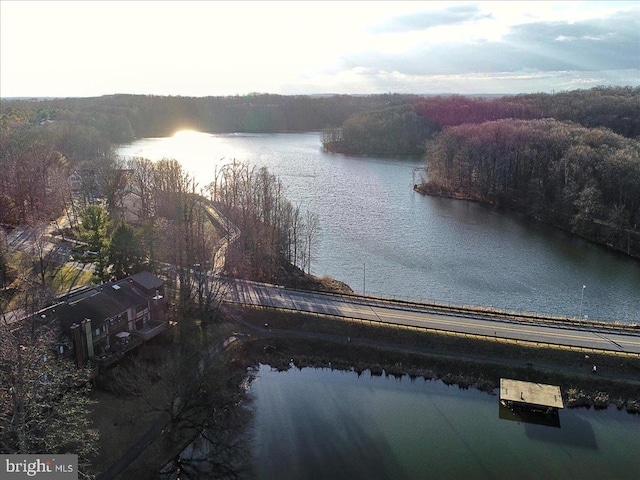 13102 Alpine Dr Unit 2502, Germantown, MD 20874 - water view featuring a heavily wooded area