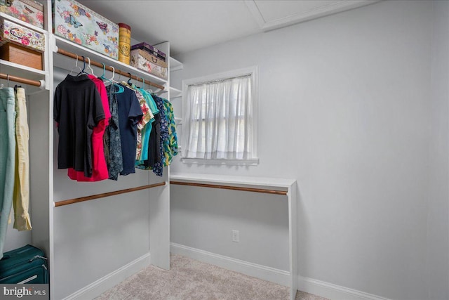 194 Harbor Dr, Lusby, MD 20657 - walk in closet featuring carpet and attic access