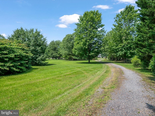 29569 Porpoise Creek Rd, Trappe, MD 21673