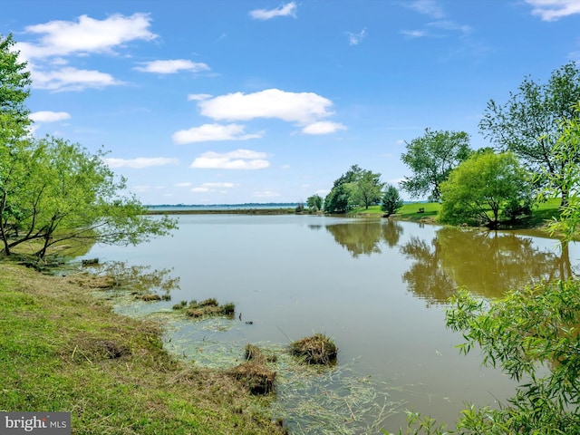 29569 Porpoise Creek Rd, Trappe, MD 21673