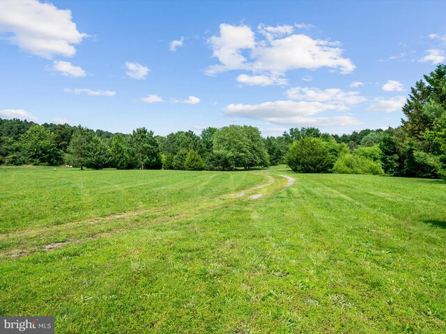 29569 Porpoise Creek Rd, Trappe, MD 21673
