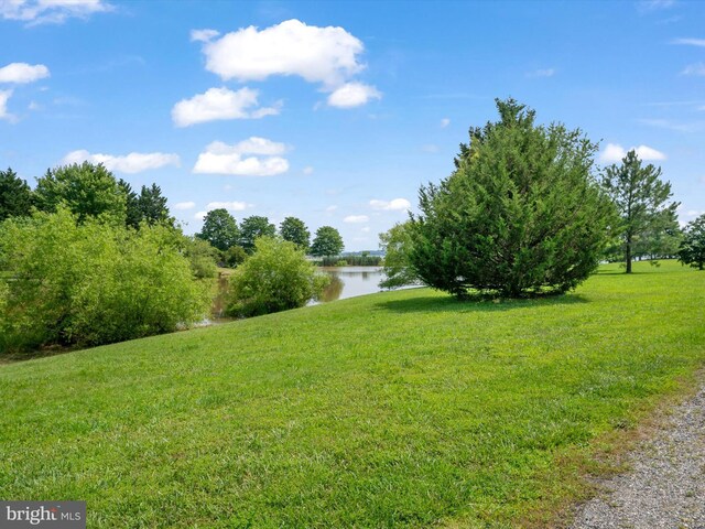 29569 Porpoise Creek Rd, Trappe, MD 21673