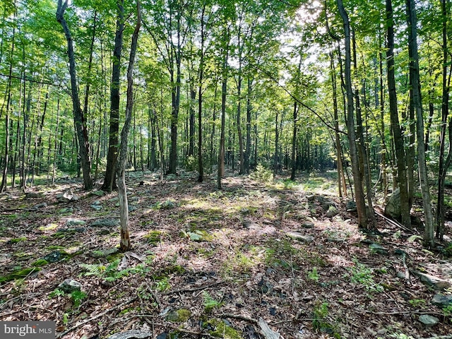 LOT5 Flintstone Creek Rd, Clearville, PA 15535