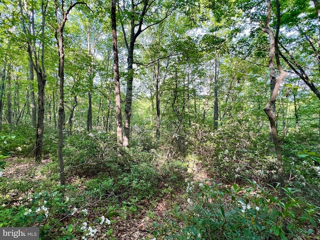 LOT5 Flintstone Creek Rd, Clearville, PA 15535