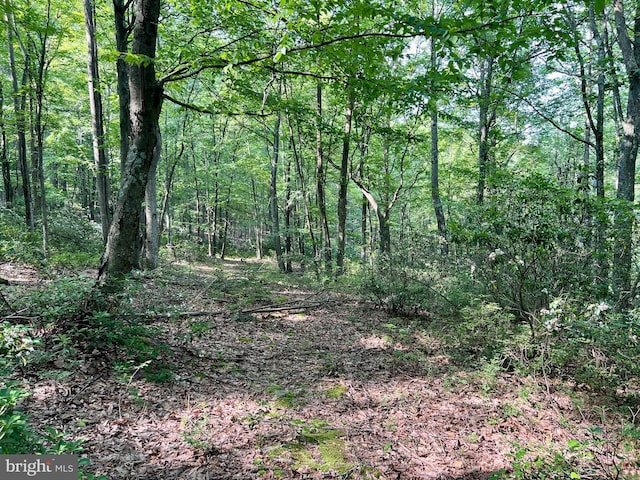 LOT5 Flintstone Creek Rd, Clearville, PA 15535