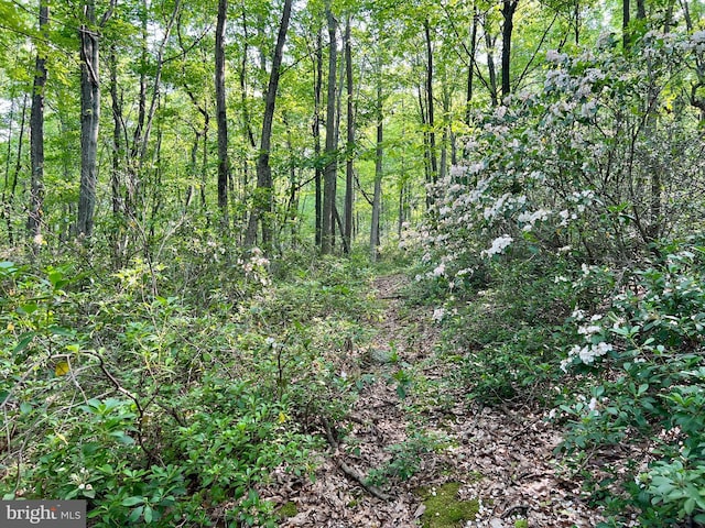 LOT5 Flintstone Creek Rd, Clearville, PA 15535