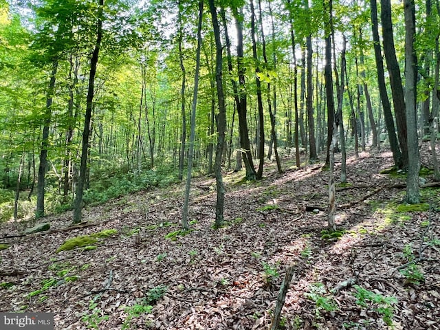 LOT5 Flintstone Creek Rd, Clearville, PA 15535