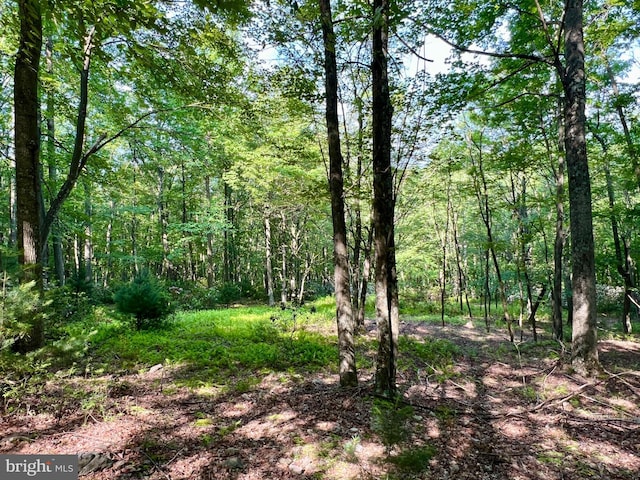 LOT5 Flintstone Creek Rd, Clearville, PA 15535