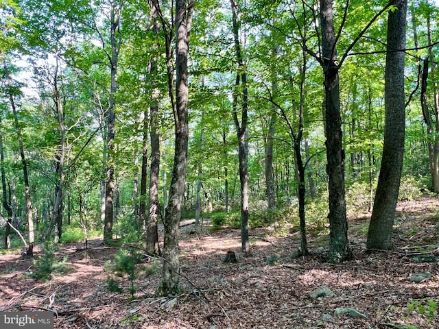 LOT5 Flintstone Creek Rd, Clearville, PA 15535