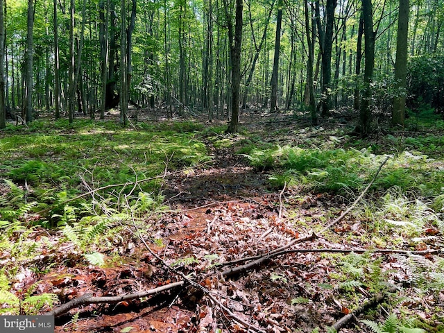 LOT5 Flintstone Creek Rd, Clearville, PA 15535