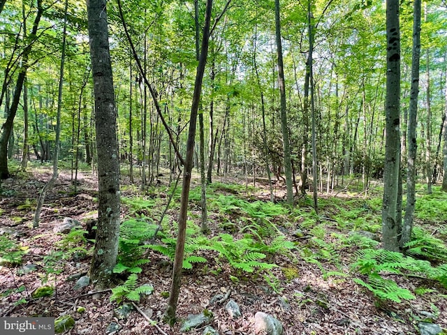 LOT5 Flintstone Creek Rd, Clearville, PA 15535