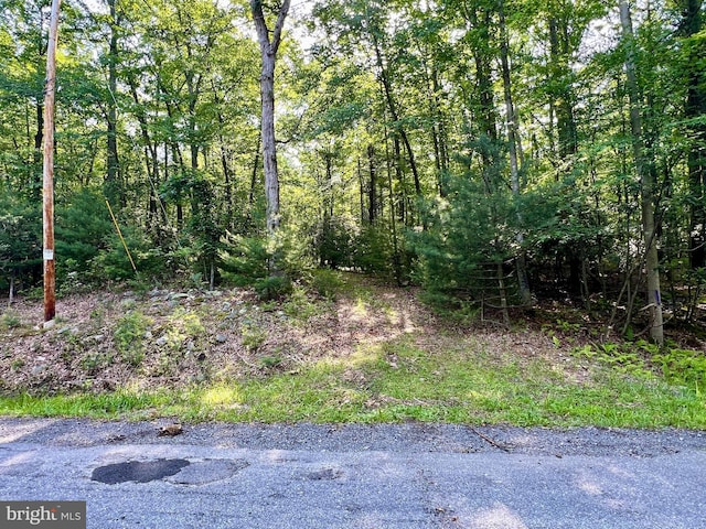 LOT5 Flintstone Creek Rd, Clearville, PA 15535