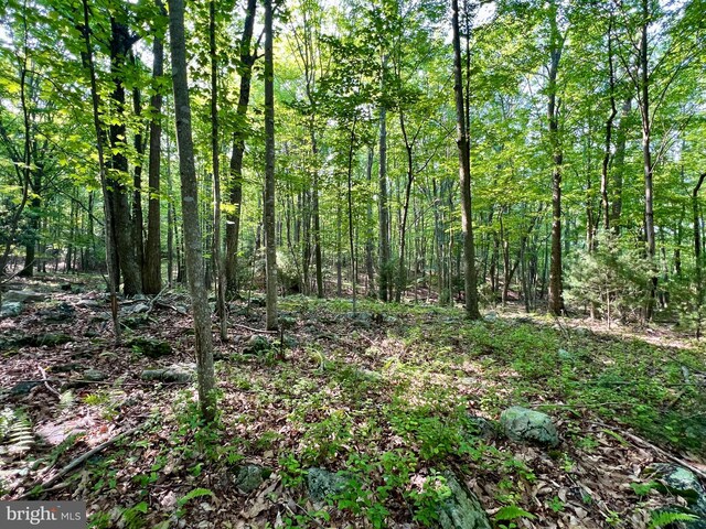 LOT5 Flintstone Creek Rd, Clearville, PA 15535