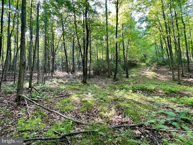 LOT5 Flintstone Creek Rd, Clearville, PA 15535