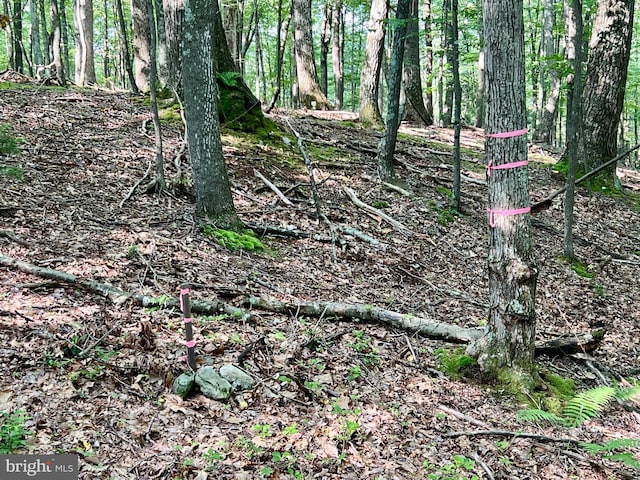 LOT5 Flintstone Creek Rd, Clearville, PA 15535