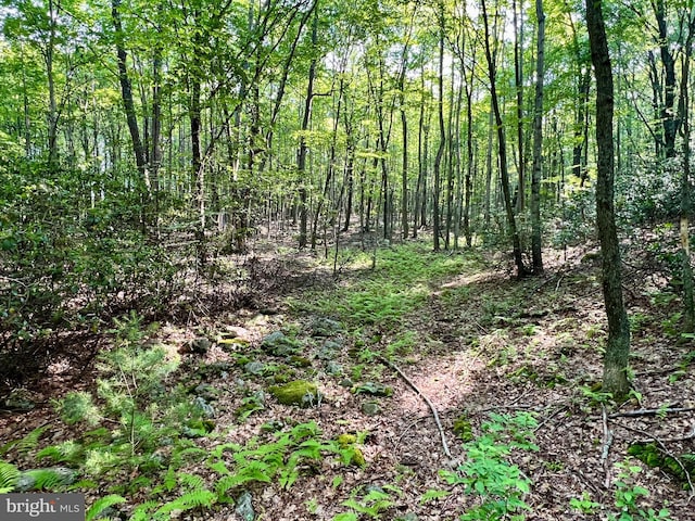 LOT5 Flintstone Creek Rd, Clearville, PA 15535