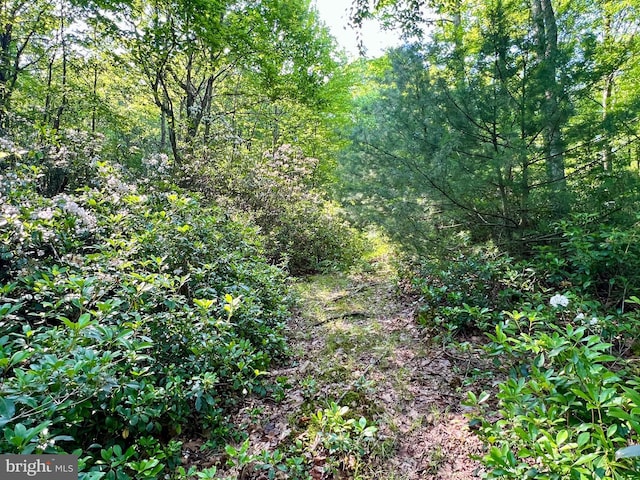 LOT5 Flintstone Creek Rd, Clearville, PA 15535