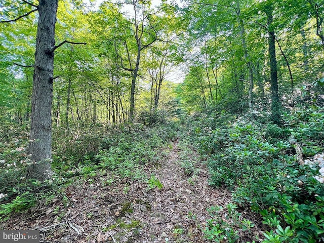 LOT5 Flintstone Creek Rd, Clearville, PA 15535