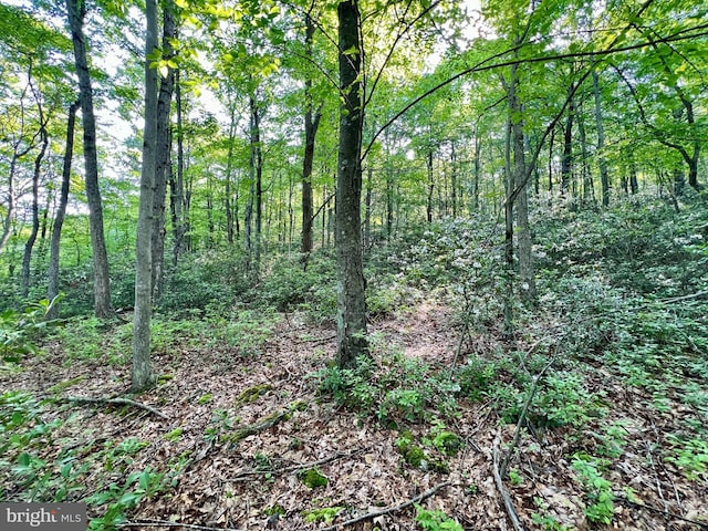 LOT5 Flintstone Creek Rd, Clearville, PA 15535
