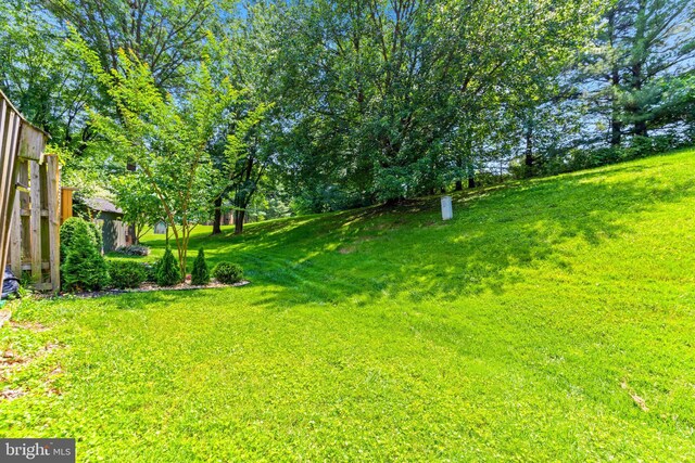 8 Cross Falls Cir, Sparks Glencoe, MD 21152 - view of green lawn