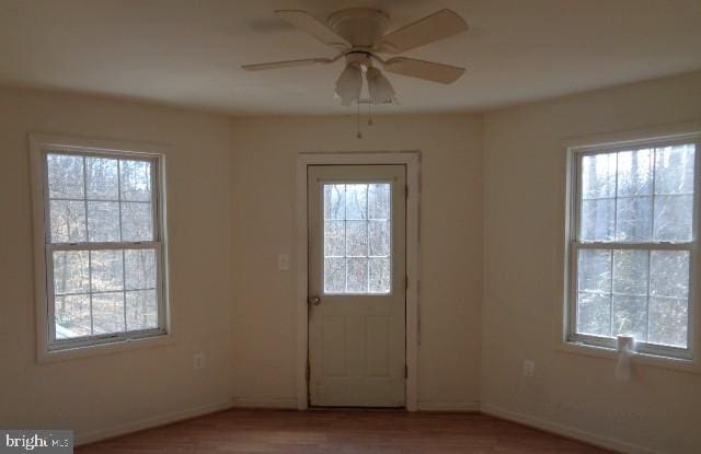 4365 Family Cir, Prince Frederick, MD 20678 - entryway with plenty of natural light, wood finished floors, and ceiling fan