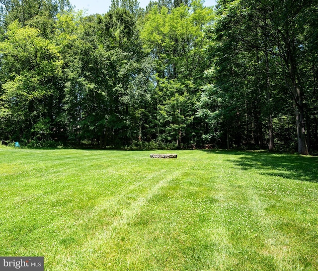 6444 Duhollow Rd, Warrenton, VA 20187 - view of green lawn featuring a view of trees