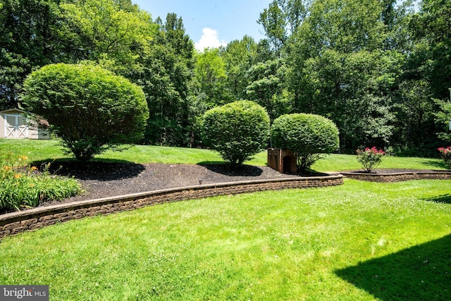 6444 Duhollow Rd, Warrenton, VA 20187 - view of green lawn featuring a storage unit