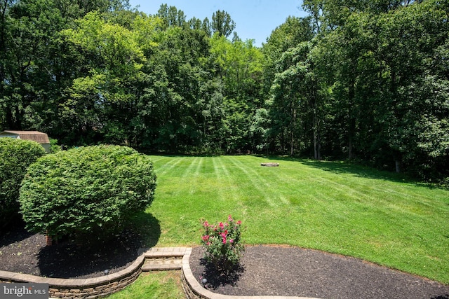 6444 Duhollow Rd, Warrenton, VA 20187 - view of grassy yard