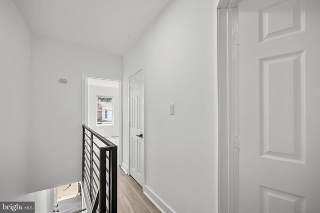239 Rubicam St, Philadelphia, PA 19120 - hallway with light wood-style flooring and an upstairs landing