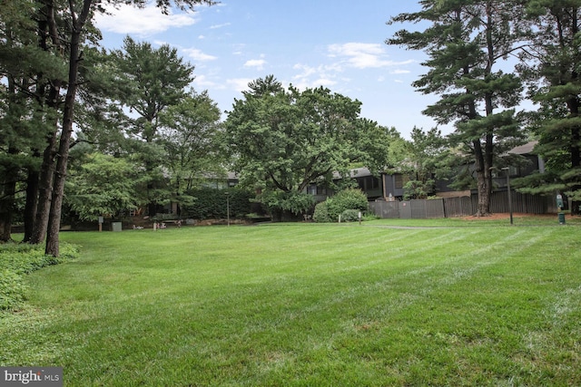 1814 Ivy Oak Sq, Reston, VA 20190 - view of yard