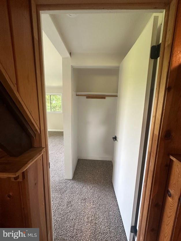 556 Trapper Ridge Ln, Hedgesville, WV 25427 - hall featuring carpet floors and baseboards