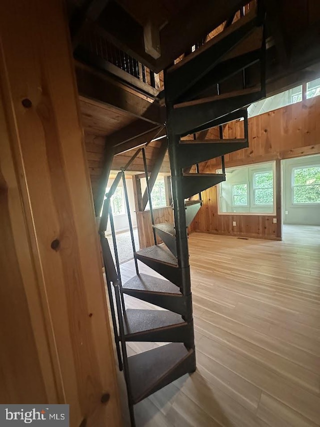 556 Trapper Ridge Ln, Hedgesville, WV 25427 - staircase featuring wooden walls and wood finished floors