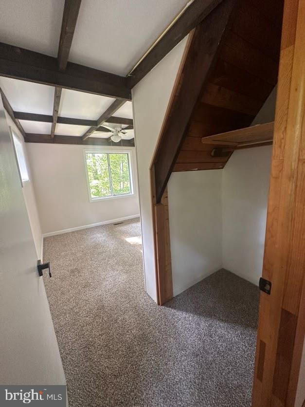 556 Trapper Ridge Ln, Hedgesville, WV 25427 - additional living space featuring carpet flooring, beam ceiling, and ceiling fan
