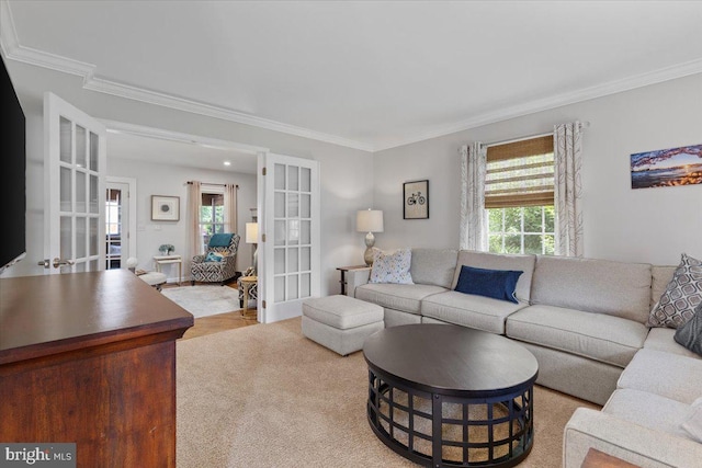5304 Braddock Ridge Dr, Centreville, VA 20120 - living room featuring ornamental molding, healthy amount of natural light, and french doors