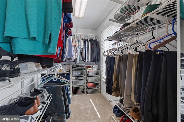 5304 Braddock Ridge Dr, Centreville, VA 20120 - spacious closet with carpet