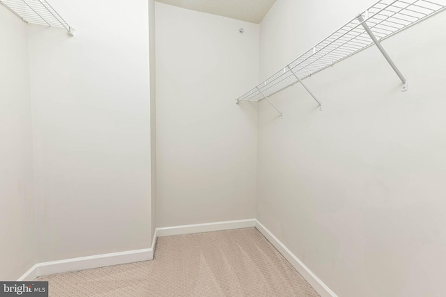 1111 25th St NW Unit 521, Washington, DC 20037 - walk in closet featuring carpet