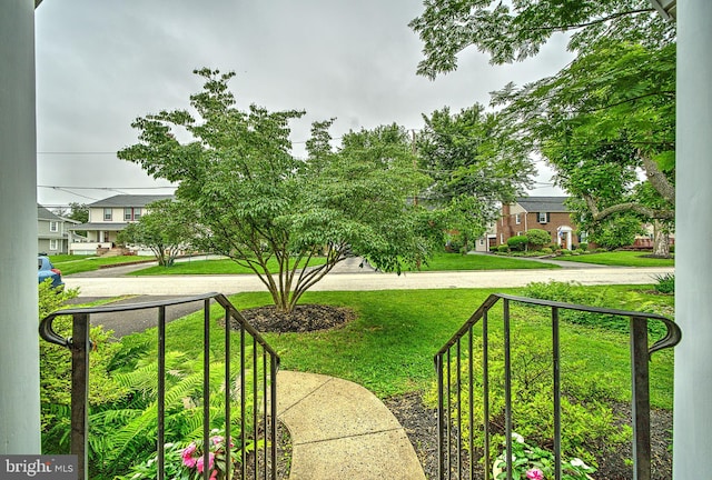 20 Grove Ave, Flourtown, PA 19031 - view of green lawn with a residential view