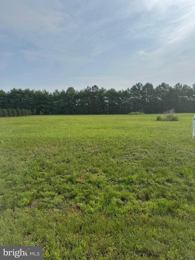 16308 Edgewater Ct, Milton, DE 19968