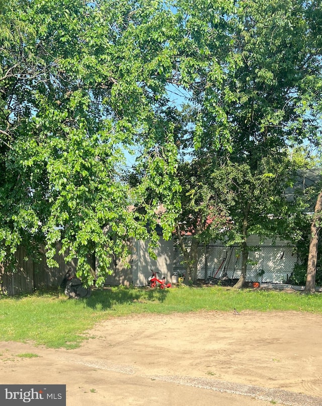 2817 Boyd St, Pennsauken, NJ 08110 - view of yard